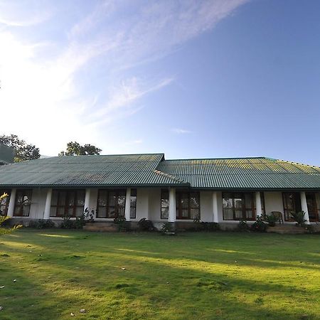 キャンディー Jungle Tide Bed & Breakfast エクステリア 写真