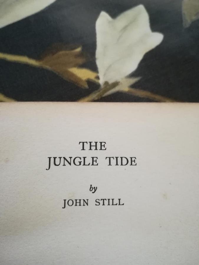 キャンディー Jungle Tide Bed & Breakfast エクステリア 写真