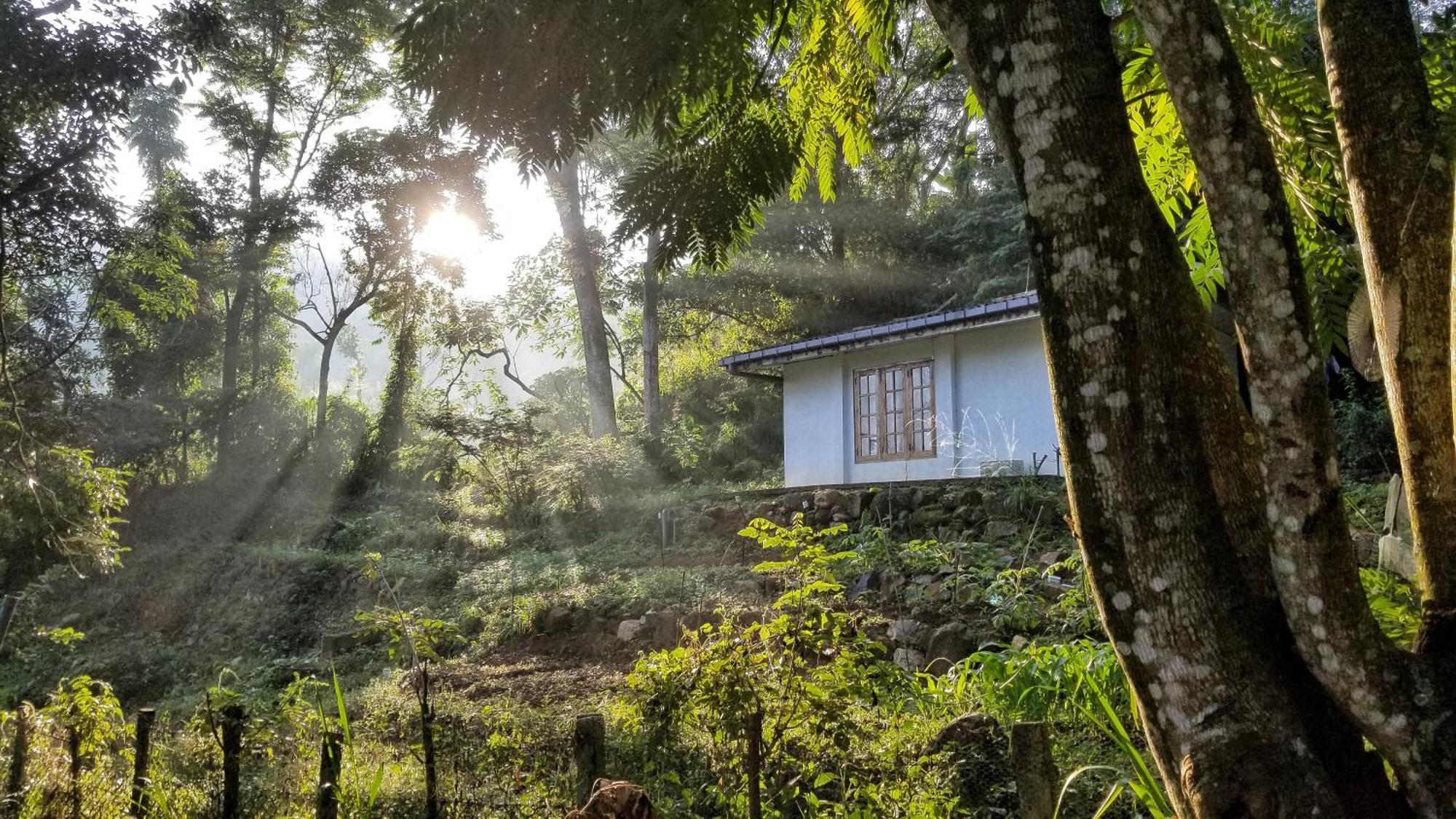 キャンディー Jungle Tide Bed & Breakfast エクステリア 写真