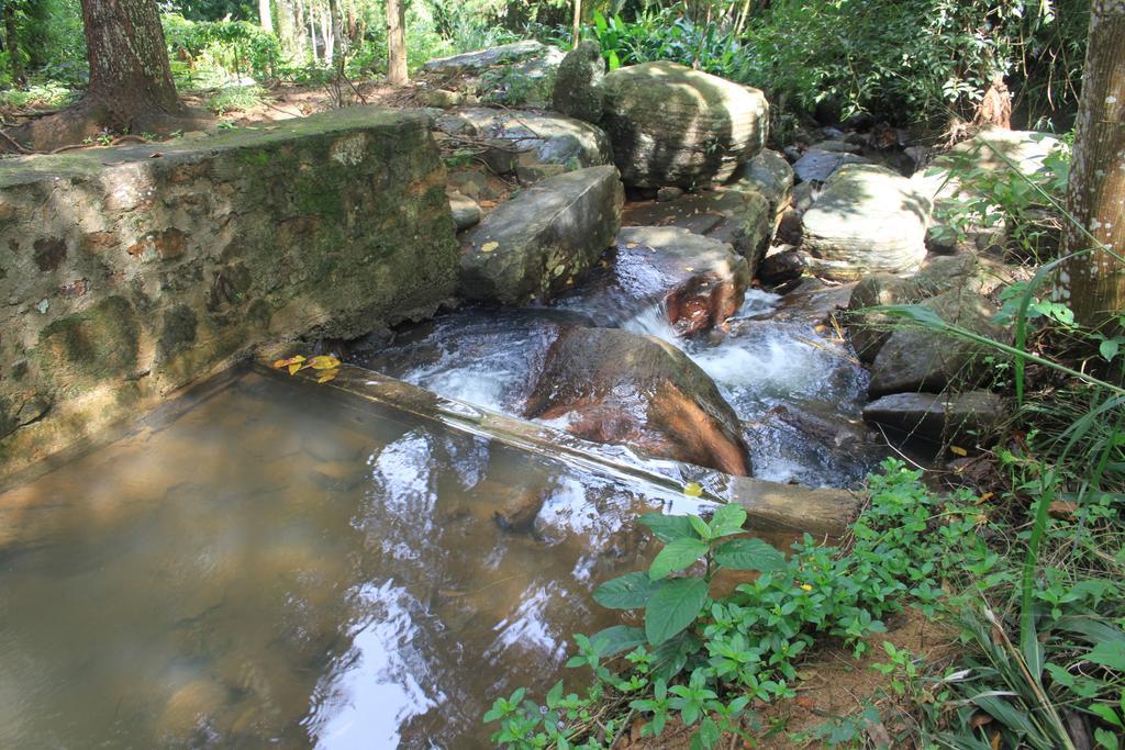 キャンディー Jungle Tide Bed & Breakfast エクステリア 写真